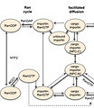 Supp Figure - State machine for NPC cargo analyis.png