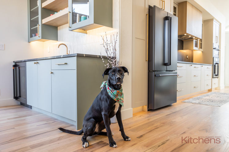 Black Lab in a newly remodeled kitchen with Cafe appliances