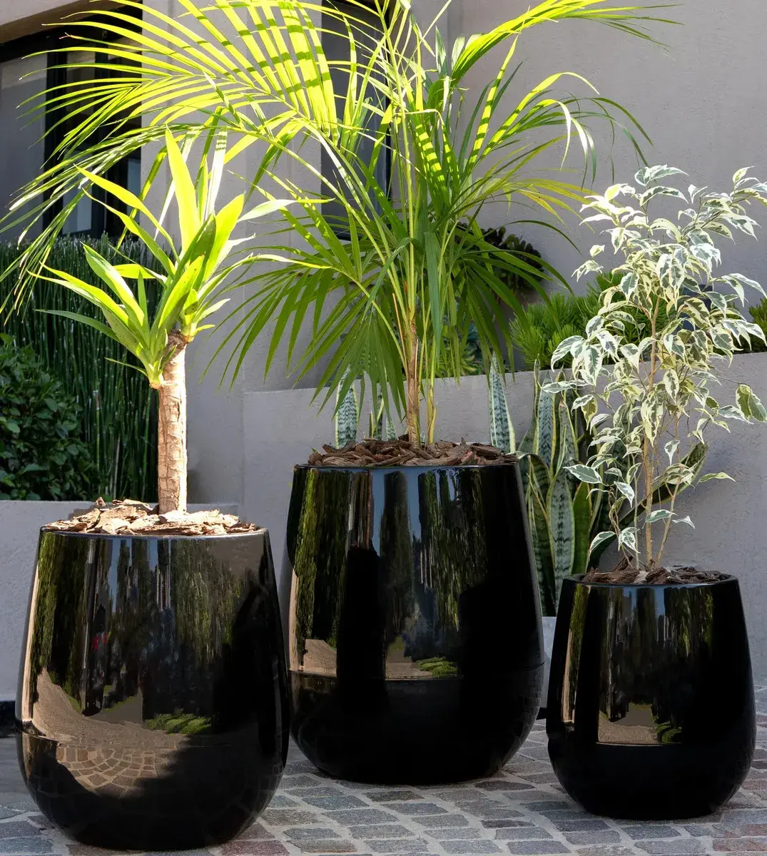 ZOCO Maceta Uovo Mediana Plastica Autorriego Ultraliviana