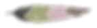 Colored Feather