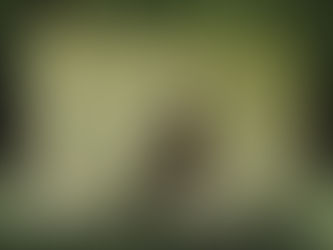 Navigating Growth and Self-Acceptance with Amy Jay’s MNEMONICS