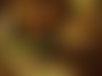 “Not A Crime” by Juli Chan