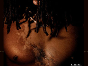 “Reou” by Mendo Tc