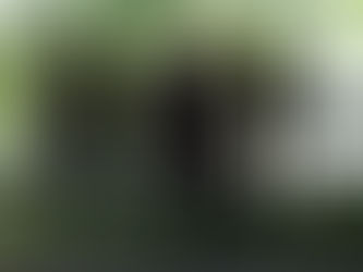 Into The Ether by ALL I LIVE FOR: Heavy, Honest, and Heartfelt