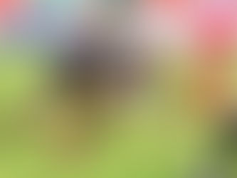 Crusaders launch new website