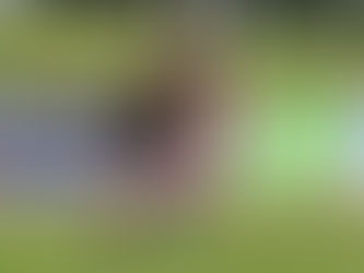 Preview: North Wales Crusaders v Keighley Cougars