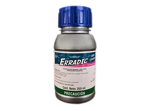 ERRADIC 250.jpg
