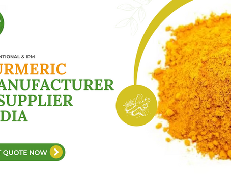 Exporter Turmeric From India - Premium Turmeric Manufacturer and Supplier in India