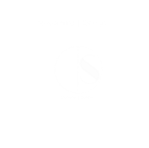 DS_LOGO_sem fundo branco.png