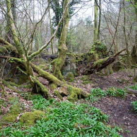 Ruins of the part of the Calder Glen mill sited on the banks of the Calder