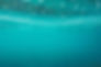 ocean-1845110.jpg