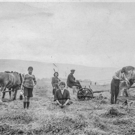 Making hay late 1800's