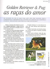 canil-golden-curitiba
