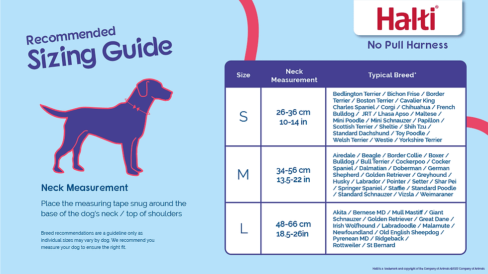 Thumbnail: HALTI NO PULL HARNESS