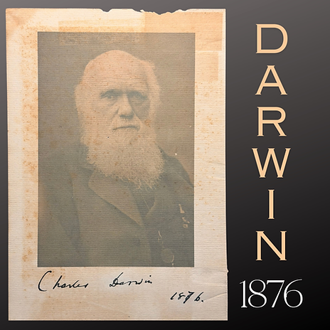 Charles Darwin Signed 1876 Portrait Photograph Linen Rag Paper Autograph
