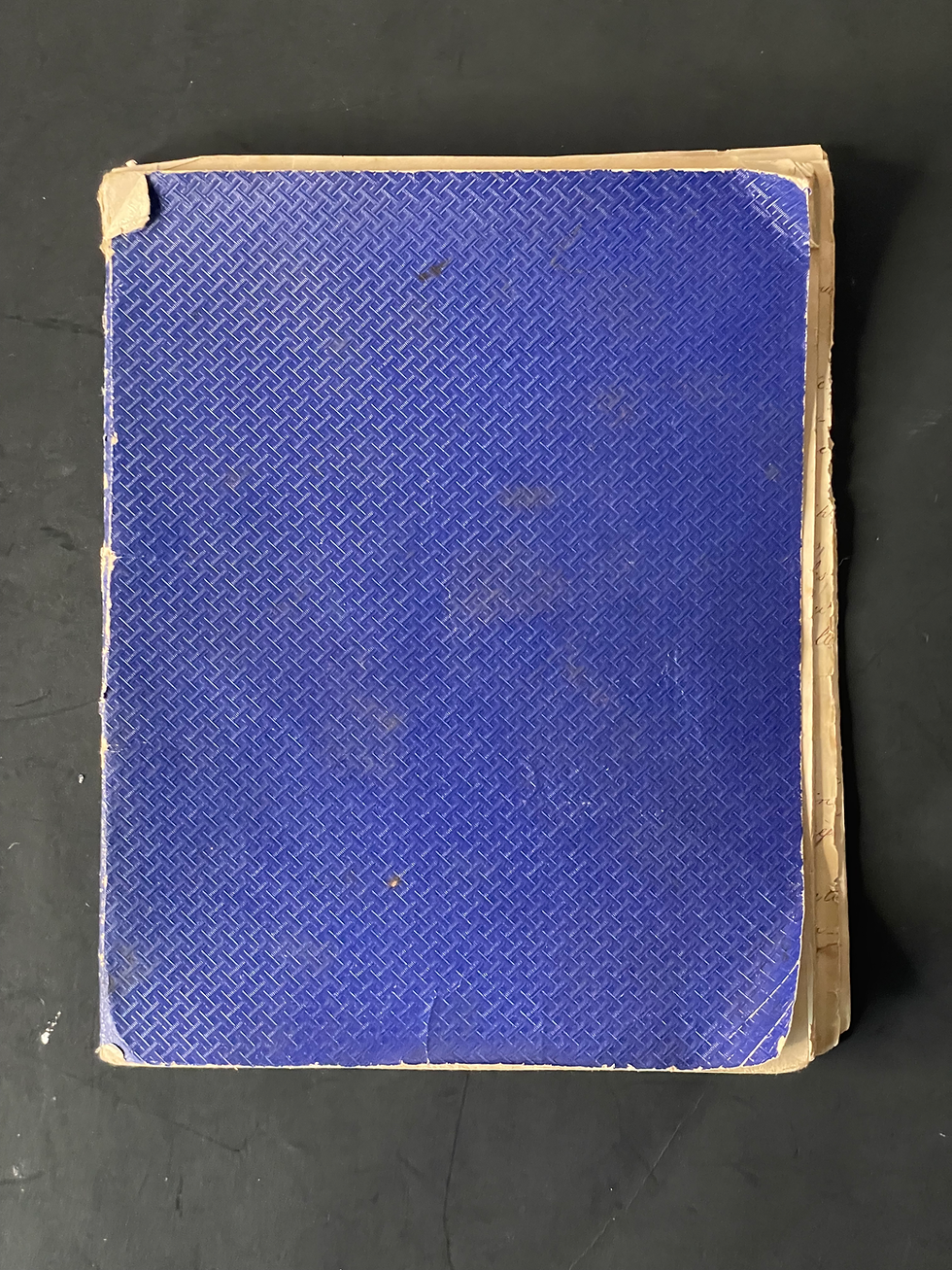Thumbnail: Jules Verne (1891-1892) Botanical Notebook Original 41-Page Manuscript Signed