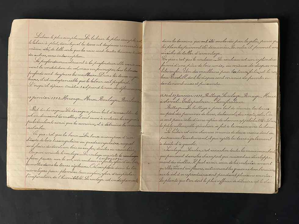 Thumbnail: Jules Verne (1891-1892) Botanical Notebook Original 41-Page Manuscript Signed