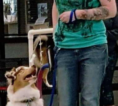 How To Choose A Trainer