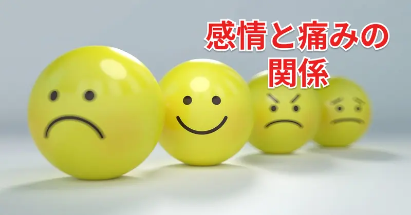 【前編】感情と慢性痛ー感情から紐解く痛みのお話ー