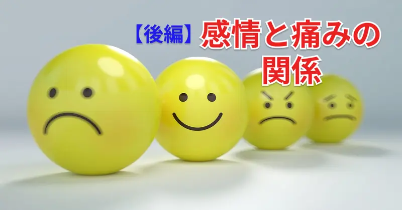 【後編】感情と慢性痛ー感情から紐解く痛みのお話ー