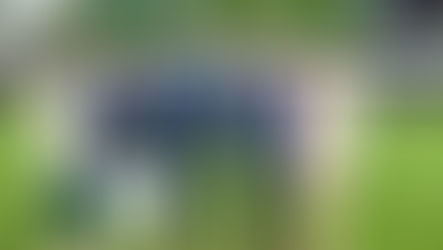 Young Farmers' Clubs of Ulster Celebrates Gold Duke of Edinburgh Achievement at Buckingham Palace