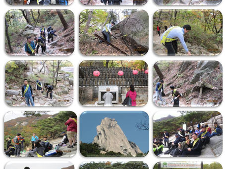 도봉산 등산로 정화활동