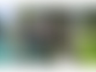 [2023년 3분기 서울 본사 봉사활동] 양재천 산책로 정화 활동