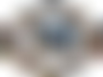 [2017년 1분기 원주 공장 봉사활동] 대화 정화 활동