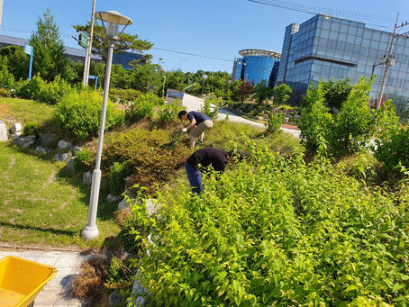 [2019년 1분기 원주공장 봉사활동] 대화 정화 활동