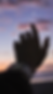 DSC_2295_Story.png