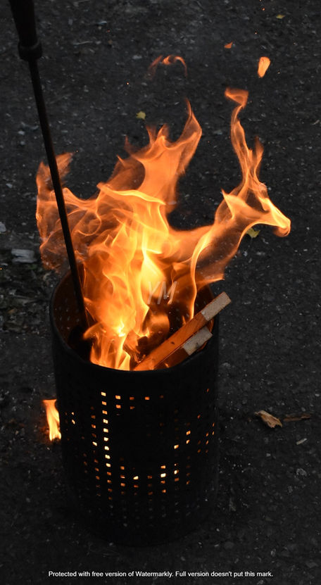 Dragon Out of Fire.JPG