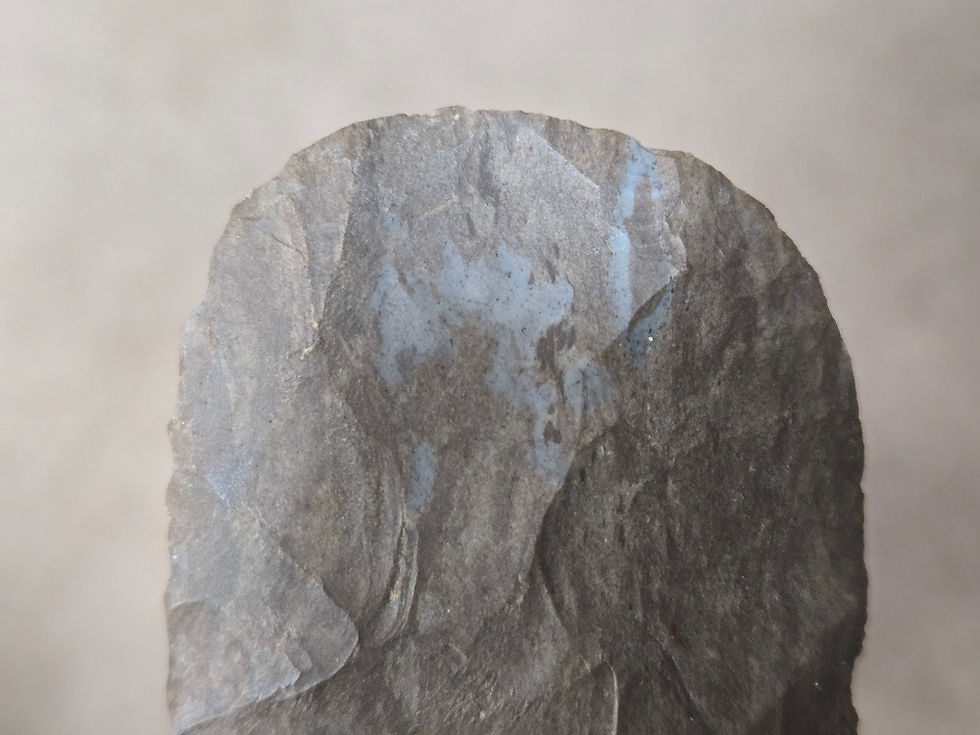 Thumbnail: #1681 - 5.2" Guilford Round Base Knife 