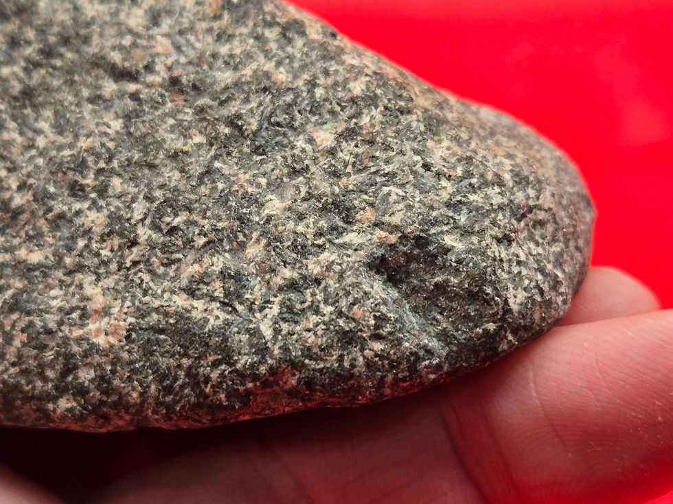 Thumbnail: #1318 - Birdstone - Nesting and Popeyed Hardstone