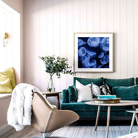 erinjakedecor_jellies.jpg