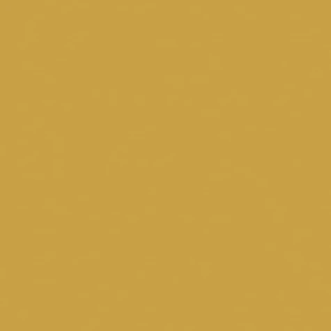 Mustard 2298