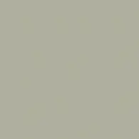 Pumic Grey 21321