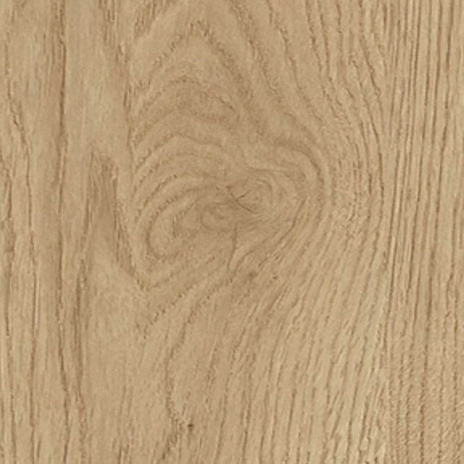 Century Oak 1554