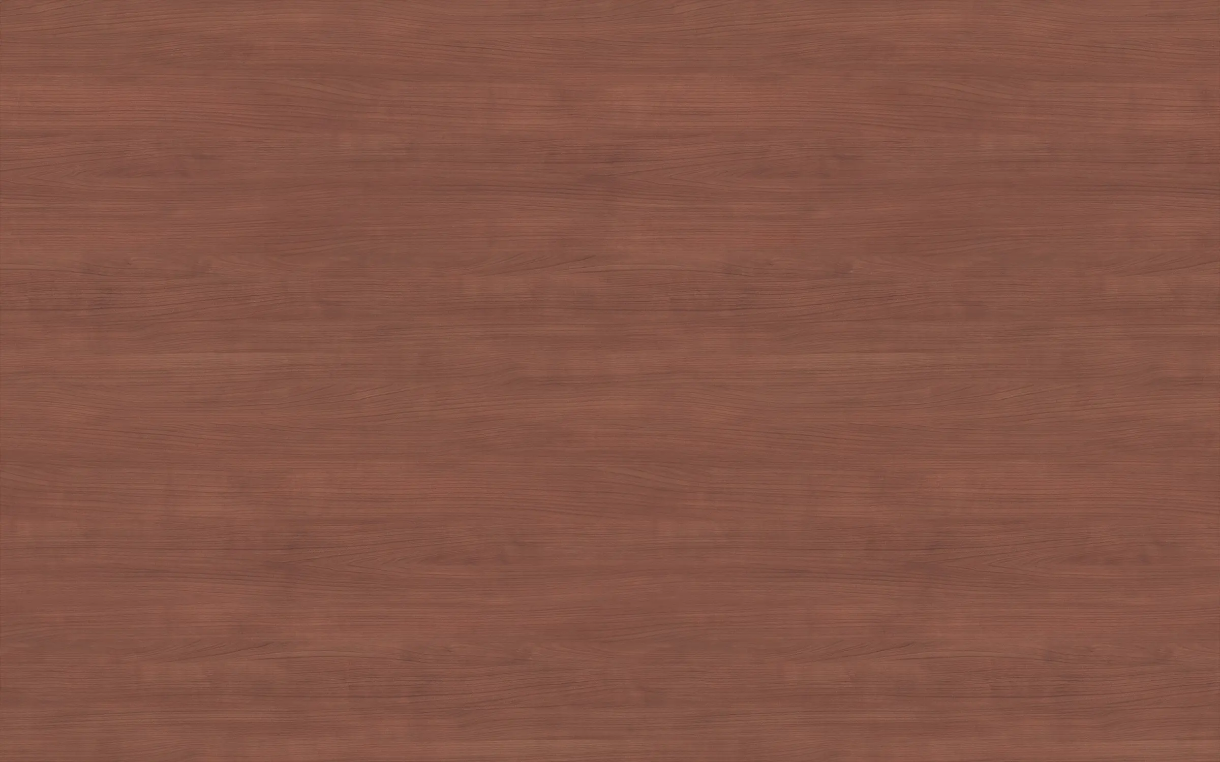 Hibiscus Cherry 7988
