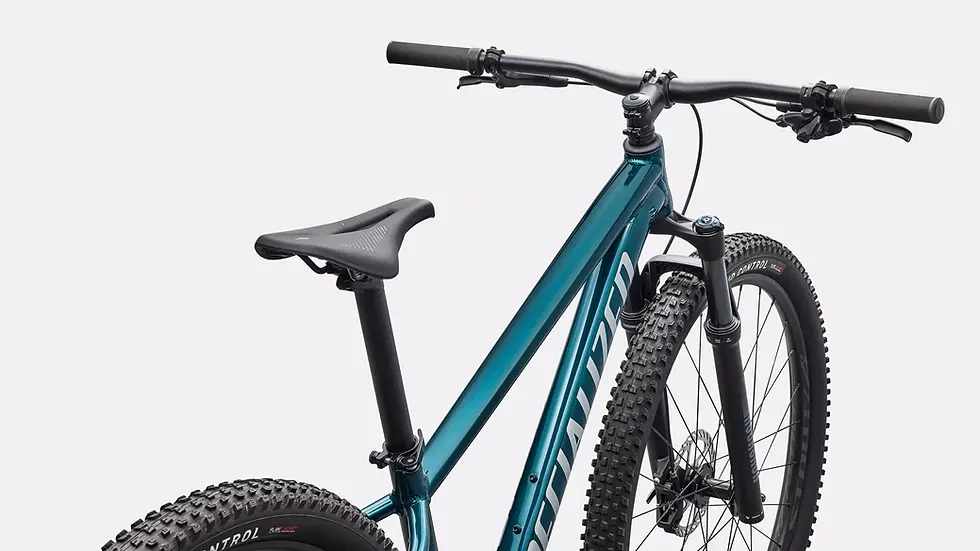 Thumbnail: Specialized Rockhopper Expert hardtail MTB trail bike