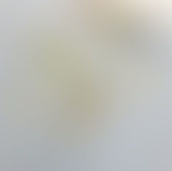 季節の花からのパワーを皆さんへ