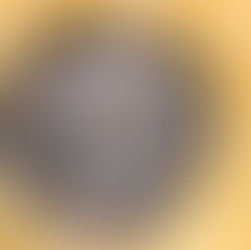季節の仕事 : 全世界の歴史が止まっていても、私の季節の仕事は止まりません。(2020.4.20仕込み)