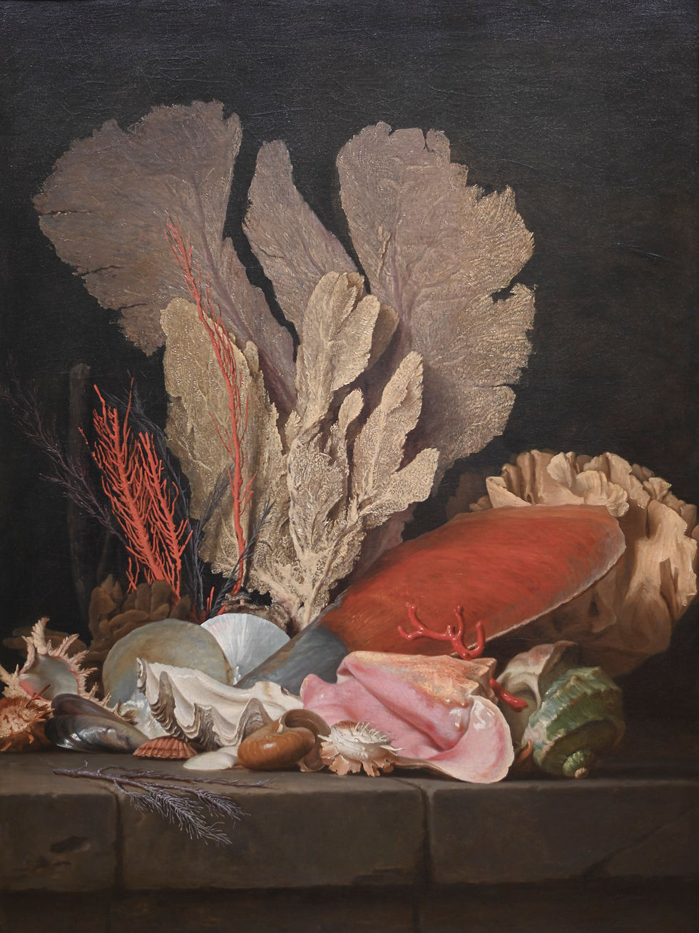 Visuel Kakémono Panache de mer, lithophites et coquilles collection « Comme au Jardin » Artemuze