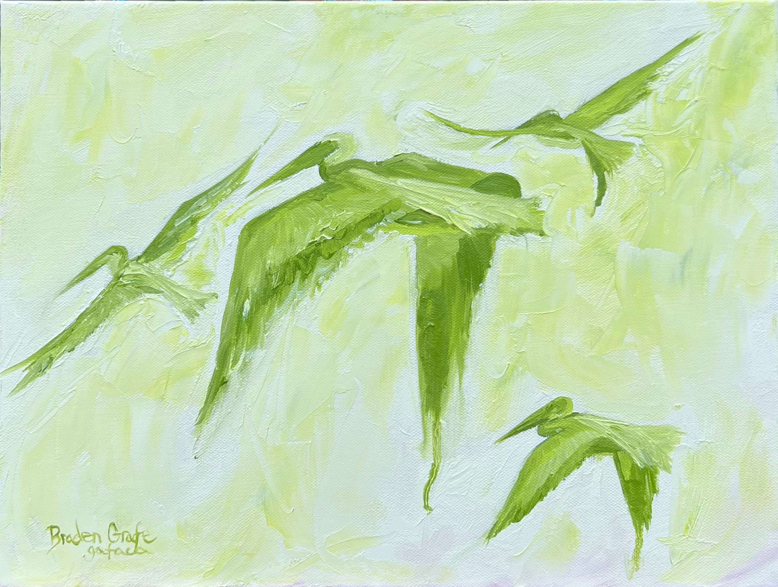 Pelicans in Green