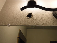 DSCF4670.JPG