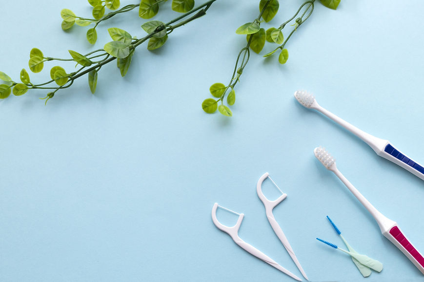 歯ブラシ 糸ようじ 草