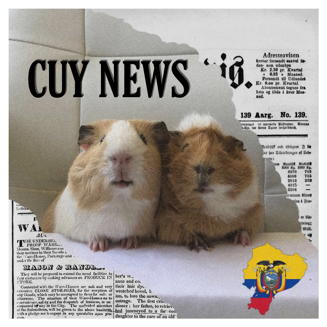CUYNEWSPNG.gif