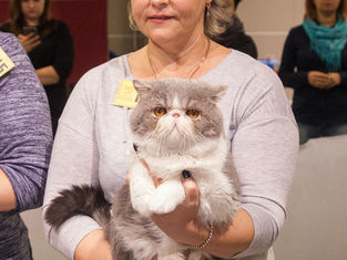 Выставка в Саратове 11-12 ноября