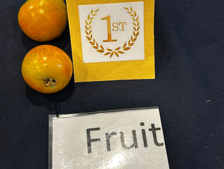 June 2025 Competitions Place Getters.