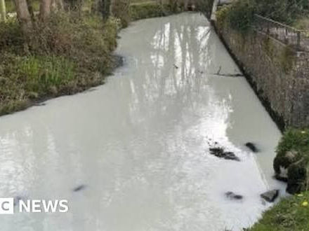 White Rivers, Red Ledgers: The ESG Crisis of UK Dairy’s Milk Dumping