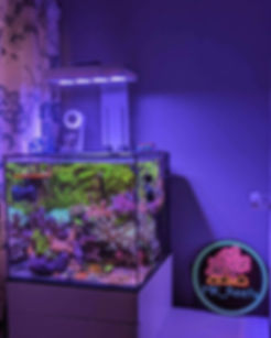 Waterbox 10, 20,25 PENINUSULA